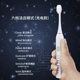 Factory wholesale electric toothbrush household 6 adult soft hair USB charging waterproof couple sonic toothbrush gift
