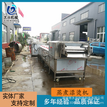 咸菜低温灭菌设备 撒尿丸子猪肉丸蒸煮漂烫线 大型豆角芒果漂烫机