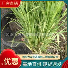 �J�� ����ֱ��  ���~  ���~�J�� ˮ�w�G�� ˮ���B