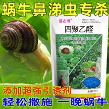 四聚乙醛蜗牛药专用药鼻涕虫福寿螺蛞蝓蔬菜家庭园艺花卉家用灭虫