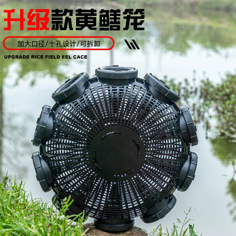 Модернизируйте клетку для сома