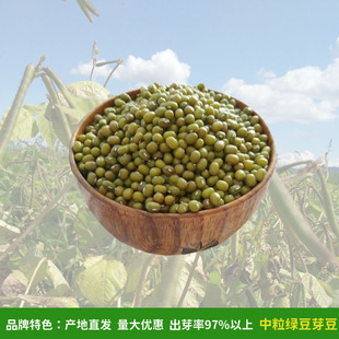 ��ӯ�S���¼Z�F؛��Ʒ�G�����G�����|����s�Z50��S�����l����