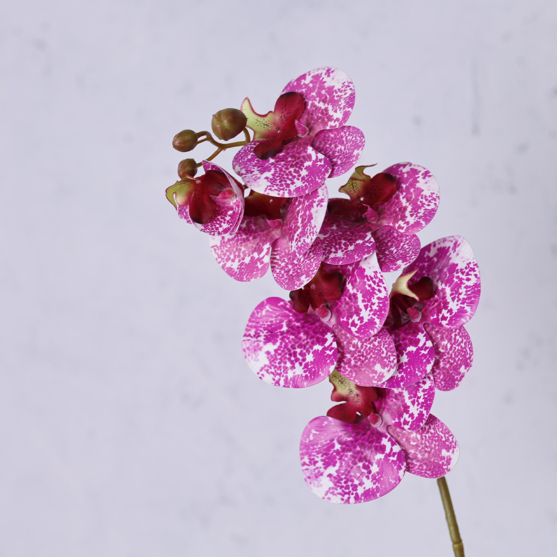 Impresión 3D de 7 cabezas de orquídeas mariposa flor de decoración de flores de alto nivel flor de nicho decoración floral decoración de sala de estar