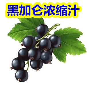 黑加侖濃縮汁 濃縮黑加侖汁 黑加侖汁 黑加侖口感突出 黑加侖味濃