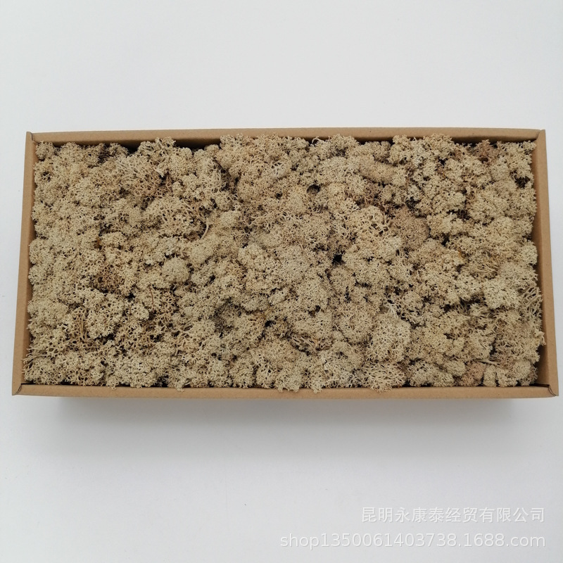 Musgo al por mayor de musgo peso neto 200g caja de regalo flores de musgo eternas accesorios para el hogar tiro ventas directas de la fábrica