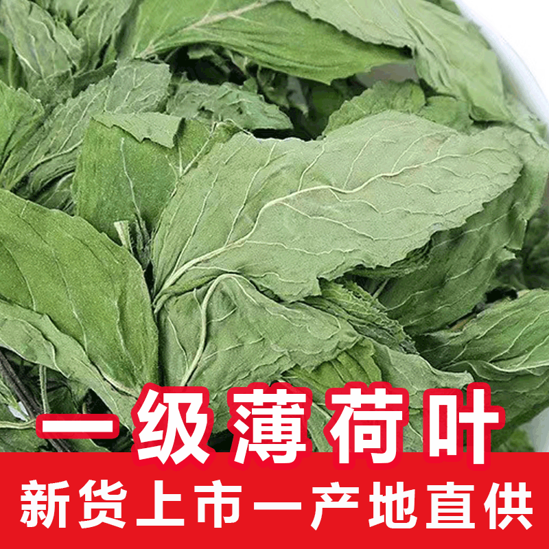 产地直供薄荷叶 采摘花果茶散装薄荷干花茶花草茶批发量大从优