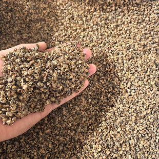 �ߜس��m�w���� �S�ҬF؛ֱ�l ����ă�