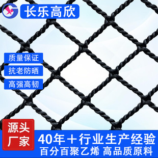 �߷��ӽg��o�Y�O�W �Bֳ�W������ڽ��B���� ��ĥ�͸��g���p�@