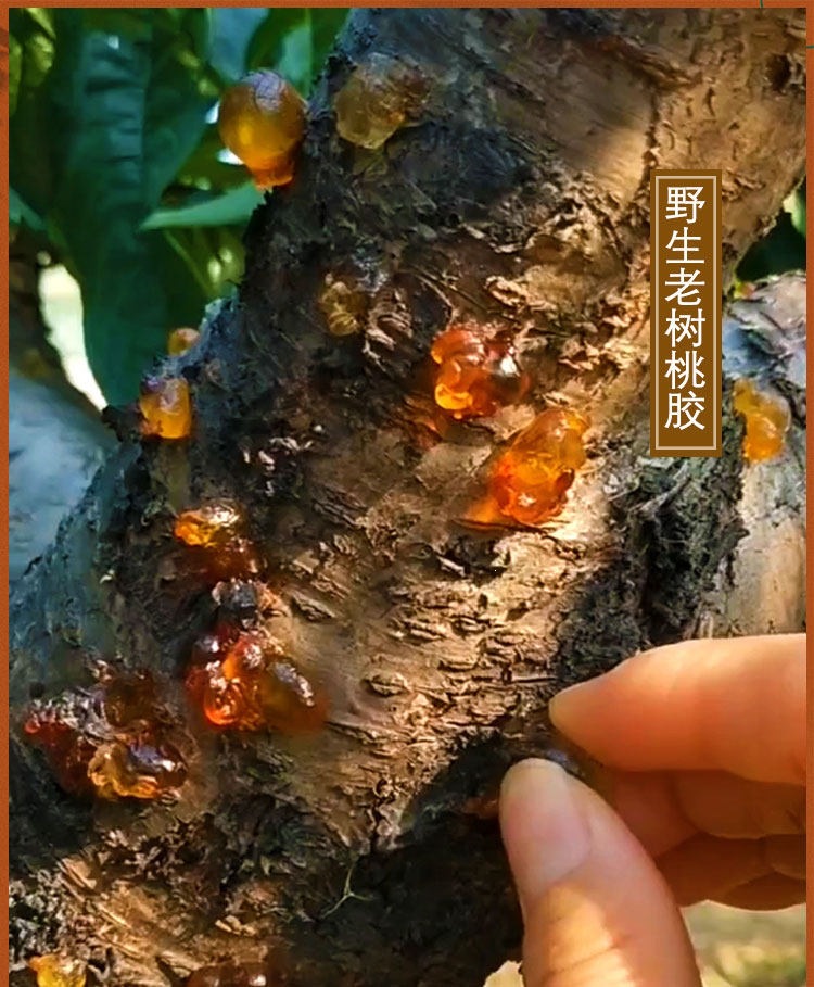 Natural Wild Peach Gum Dried Tao Jiao Premium Large Granules 500g for Soups and Desserts overview