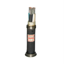 廠家供應CEFR船用電纜-0.6/1KV-CEFR船用電力電纜