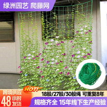 爬藤网园艺网果蔬花卉种植网瓜果绿色植物支架网农用网跨境爬藤网
