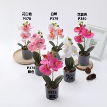 仿真花新中式蝴蝶兰盆栽家居装饰兰花婚庆假花套装摆件装饰