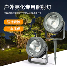 ����Ʒ�ʻ���������ˮ���۵�LED�����20WͥԺ��ƺ԰�ֲ��������