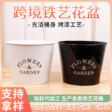 羳FˇRFFͰԶֲFƤͰ廨ͰGֲ