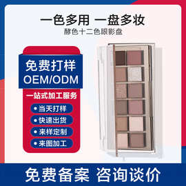 贴牌  代加工抖音爆款情绪框架十二色眼影盘大地色系低饱和眼影盘