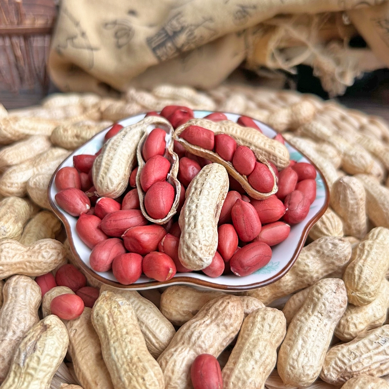 Свежие арахис в скорлупе с красной оболочкой, оригинальный вкус, жаренный арахис с красной кожурой, новинка, сырые арахисы в скорлупе, закуски, цена оптом