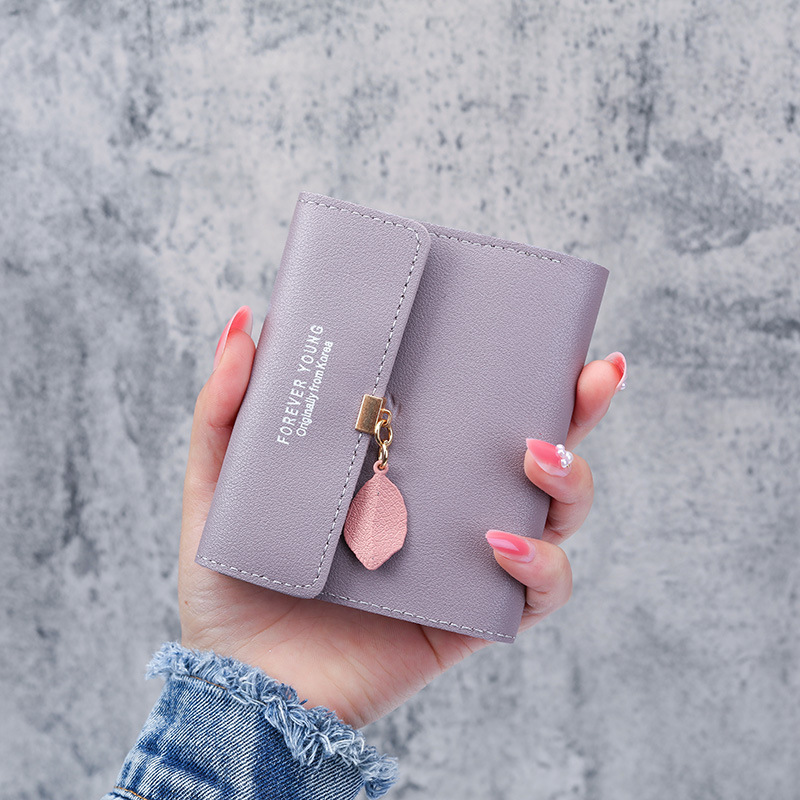 Monedero femenino plegable simple