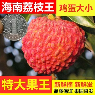 ������֦�� ������֦��ɽ�����r���]�����r��ˮ��������S�Y���b