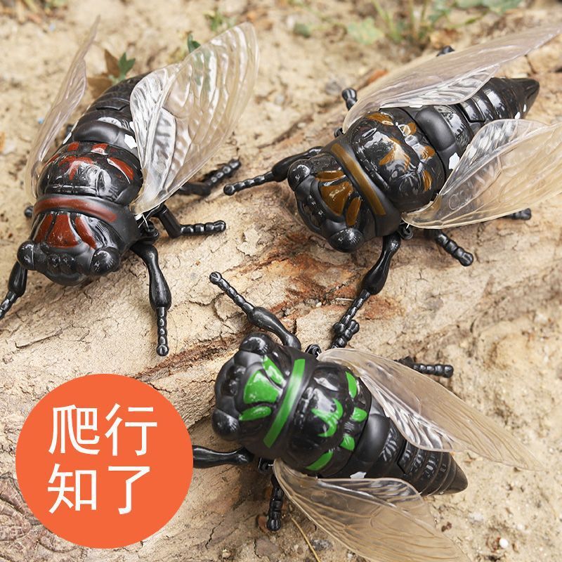 新款上链条知了仿真爬行动物发条玩具昆虫创意玩具夏蝉金蝉模型|undefined