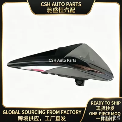 Suitable for Tesla MODEL3MD3 fender turn signal light electroplating 1125107-77-H1125107-50J (Avtomobil şüşəsiləyənləri)