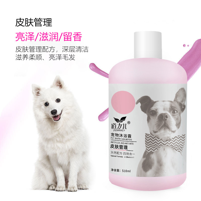 스킨관리 510ml