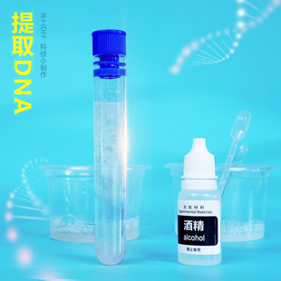 ���x��ȡDNA��С�W�����������diy�ƌWС���Ƅ�STEM�Ƽ�С����