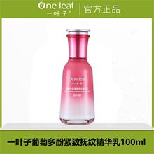 【可查防伪】一叶子乳液葡萄多酚紧致抚纹精华乳100ml