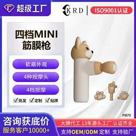 筋膜枪;生发仪、护发仪;电吹风