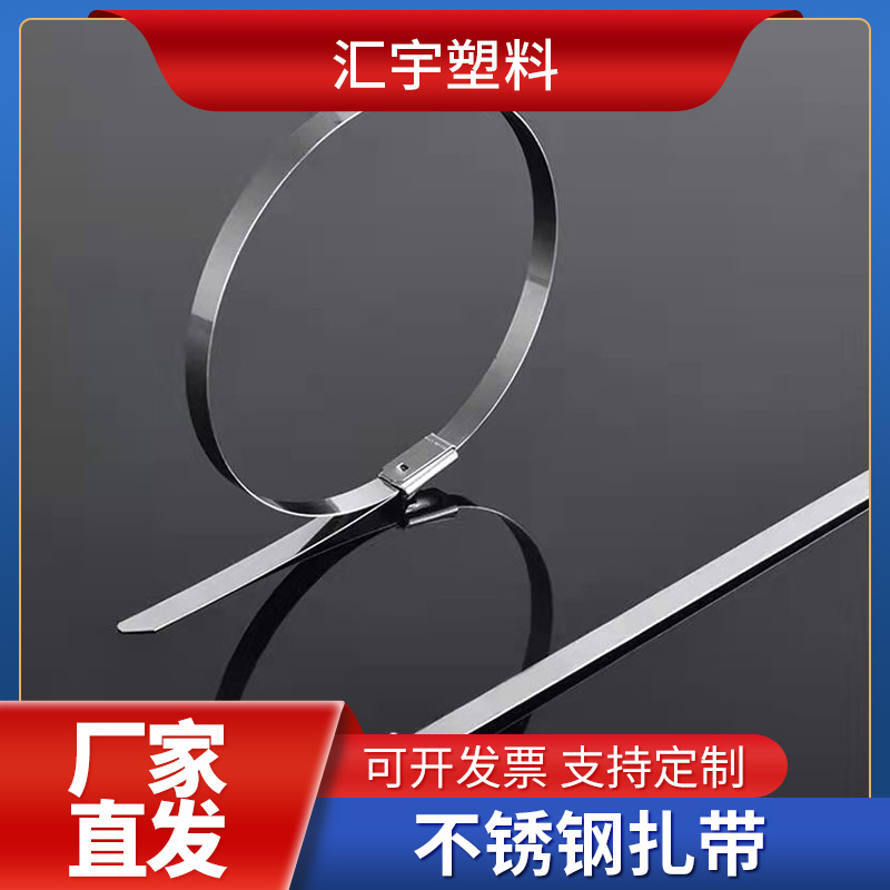 实力厂家批发不锈钢扎带耐高温耐腐磨免费拿样免费试用免费包邮