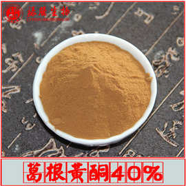 葛根黄酮40% 绿腾生物 葛根提取物 食品级 葛根素 量大从优 包邮