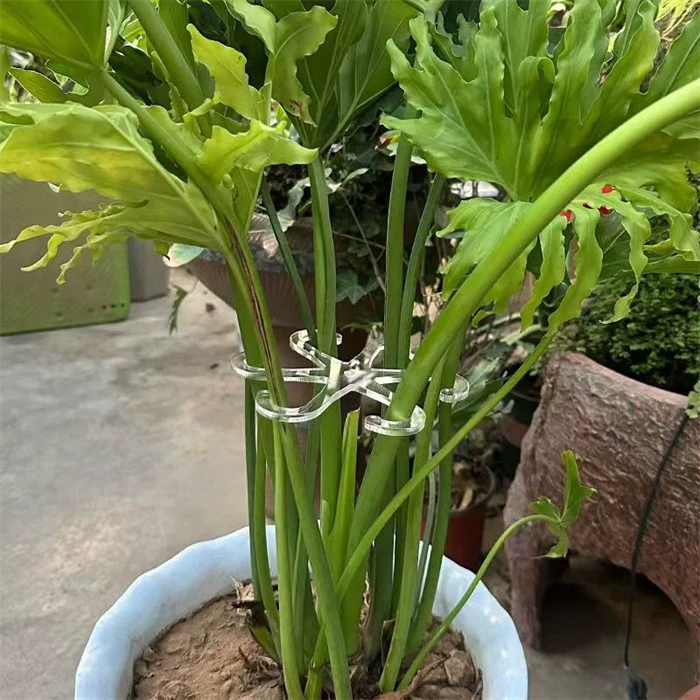 Утолщенные растения анти-полегание кронштейны бамбуковые опорные стержни фиксаторы весенних перьев цветочные гидропонные садоводческие стойки