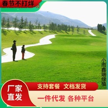 草坪草籽种子四季常青绿化庭院护坡草皮黑麦草子种籽马尼拉狗牙根