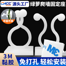 厂家批发绿萝爬墙固定器塑料背胶线夹藤蔓线扣攀爬理线扭线环