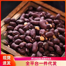 五香黑花生米炒货坚果下酒菜零食黑皮五香花生米熟黑花生无壳休闲