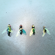 �����nω·���D�h�wω�h��������x���D�R�ڰחl�N���|�~��ˮ�~�D