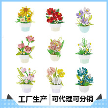 ���΢С������ľP2383-P2391����ֲ��������ϵ�����С�ڼ�����