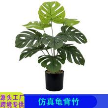 羳Gֲ18^75CM;G~ֲﱱWLҾb