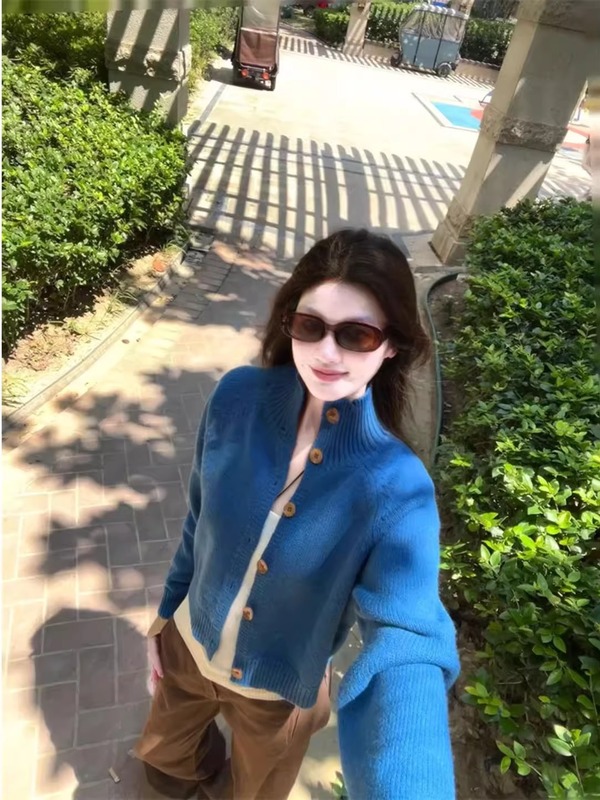法式气质高级感蓝色立领长袖针织衫女秋季休闲慵懒风百搭开衫上衣|undefined