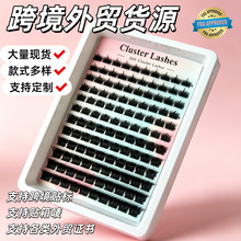 �羳���R�dozonըë���ܶ�ë��manga lashes�δؠ��Լ޷ֶν�ë