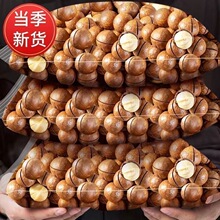 新货大颗粒夏威夷果奶油味原味坚果炒货干果散装孕妇休闲批零食发