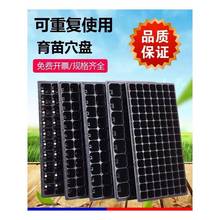 �������߲����N�����ϱ��I�B����NֲѨ�P����PǤ���бP�r��