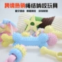 洁齿幼犬trp狗狗狗咬骨