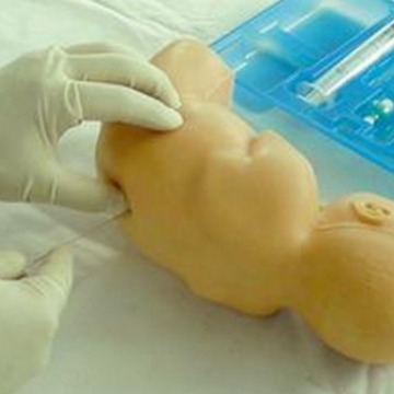 ������������ģ����������׵���̷���ģ�ͣ�Ӥ����׵����ѵ��ģ��