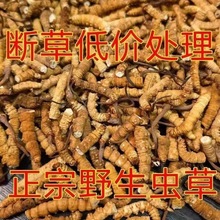 ����Ұ�����x�Ĳݔ��x�ݴ����x�ݲ؅^���x������Ʒ���Ҝ��ݾ���