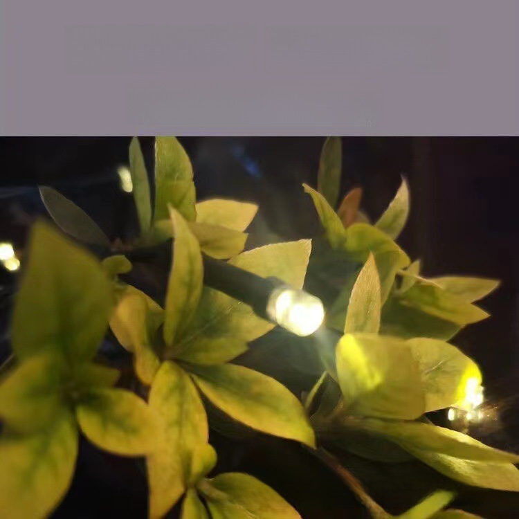 Outdoor Garden Courtyard Decoration Project LED Solar String Lights Waterproof Small Colorful Lights Bulk Wholesale