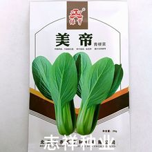 菜农用绿亨美帝青梗菜种子杂交耐热窄帮翠绿色油菜上海青种20g