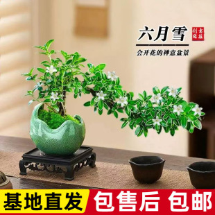 ��߅�����h֦���ͺ��մɻ����Ϙ����Ԅ���Gֲֲ���҃Ȼ���