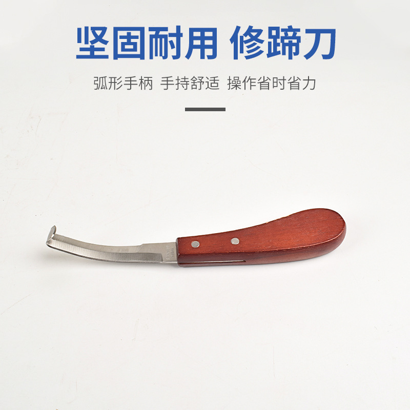 Herradura para caballos, tijeras de casco de buey, conjunto de casco de animales, tijeras de casco de caballo, tijeras de casco de caballo, tijeras de casco de caballo, tijeras de casco de caballo