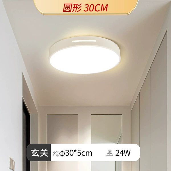 Regular style—round 30CM—24W