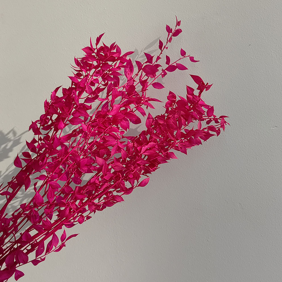 장미 붉은 행운의 잎 한 다발